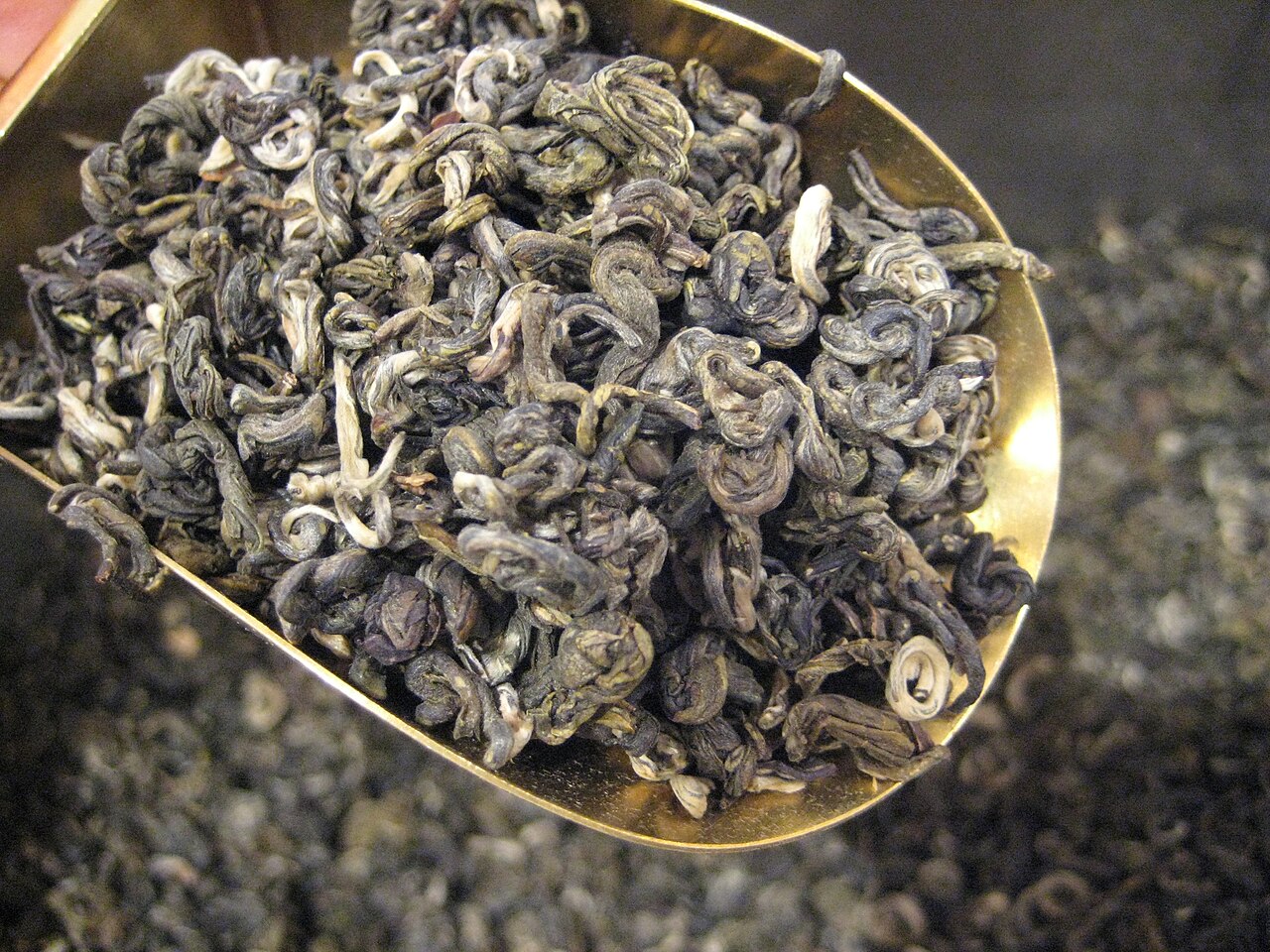 卷曲形态的茉莉花茶干茶，展示茶坯与窨花后的条索状态