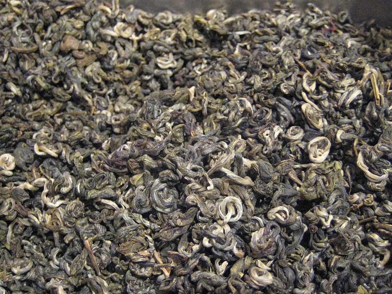 手工卷制的茉莉花茶，展示高等级花茶的芽叶细节与成形工艺